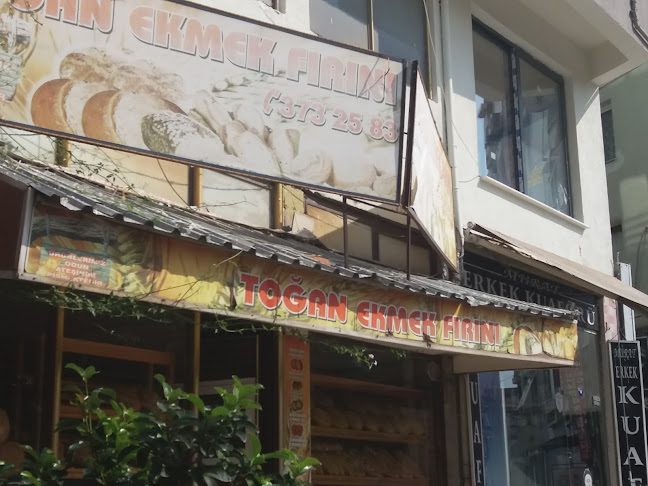 Opinii despre Toğan Ekmek Fırını în Bornova - Gastronomi ve konaklama