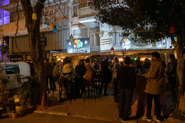Elefante Pub - Gastronomi ve konaklama