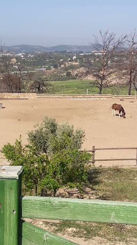 Yörükler Obası At Çiftliği Restoran - Gastronomi ve konaklama
