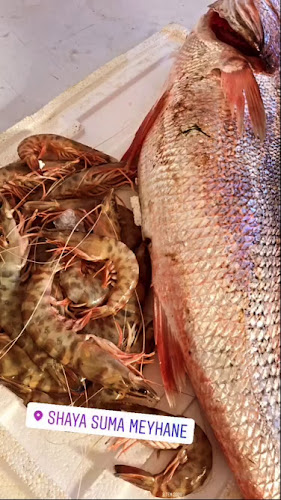 Opinii despre Suma Meyhane în Süleymanpaşa - Gastronomi ve konaklama