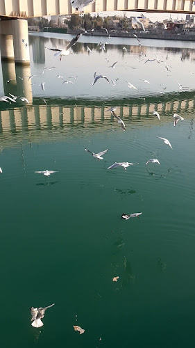 Gürselpaşa, Aliya İzzet Begoviç Blv No:91 D:E, 01200 Seyhan/Adana