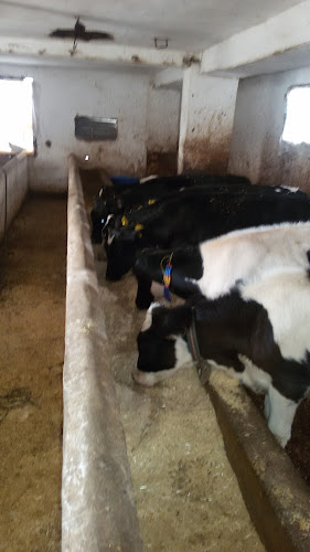 Kervan Saray Et Mangal - Gastronomi ve konaklama