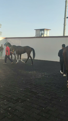 Yağca, 07190 Döşemealtı/Antalya