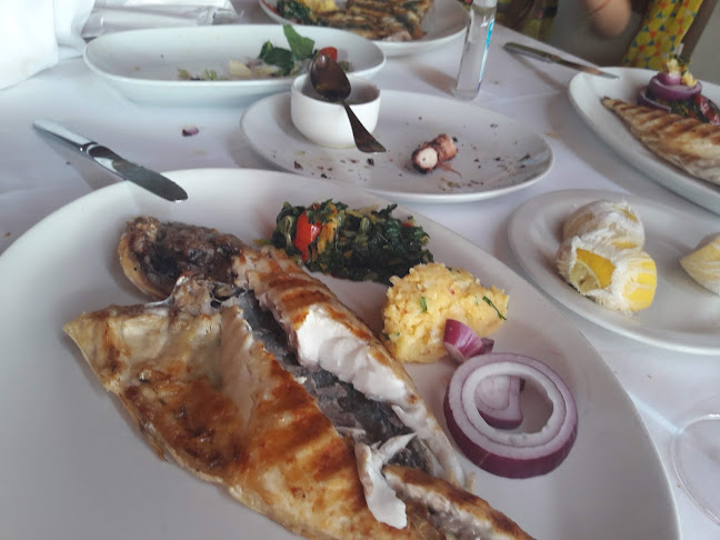 Sur Balık Restoran Sarayburnu - Gastronomi ve konaklama