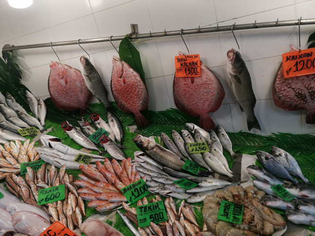 Yeşilköy BIZIM BALIKÇI RESTAURANT - Gastronomi ve konaklama