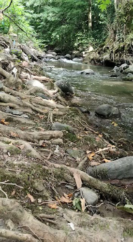 Niksar Kavlağanlık Alabalık Tesisi - Niksar