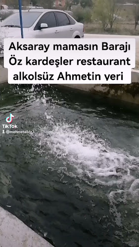 Opinii despre Özkardeşler Canlı Alabalık în Gücünkaya/Aksaray Merkez - Gastronomi ve konaklama