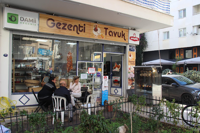 Gezenti Tavuk