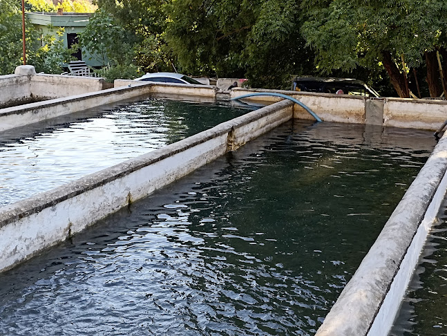 Taşlı köyü Alabalık Tesisi - Taşlı/Şirvan