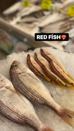 Opinii despre KALKAN BALIKÇILIK (KAŞ ŞUBESİ) SİNCE99 în Kaş - Gastronomi ve konaklama