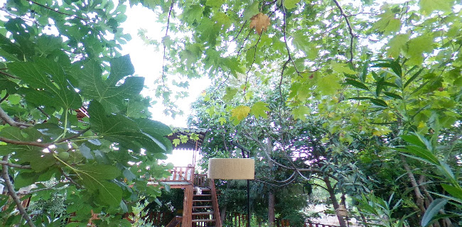 Doğa Restaurant - Edremit