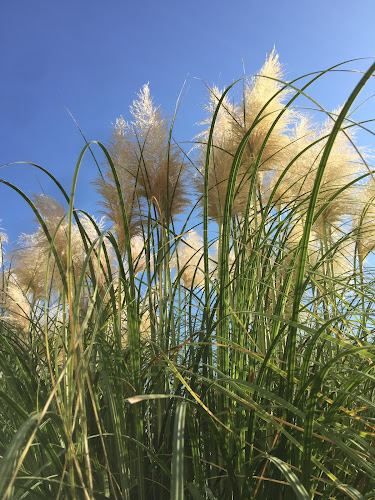 Beyazkoy Villaları - Bartın Merkez