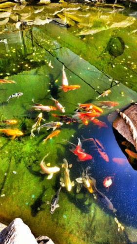 Opinii despre Birgi Karaca Hanım Konağı în Ödemiş - Gastronomi ve konaklama