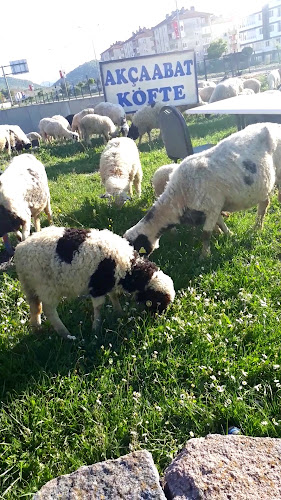 Opinii despre Arslan Usta Köy Evi Akçabat Köfte Mangalda Kuzu în Havza - Gastronomi ve konaklama