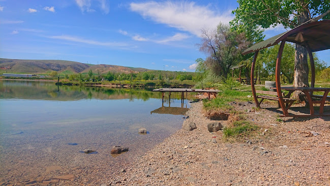 KÖRFEZ BALIKÇISI - Bala