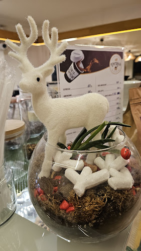 Kontrbus Coffe Co. Balçova - Balçova