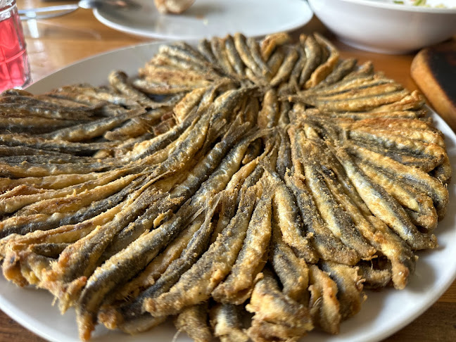 Dalyan Balıkevi - Melikgazi