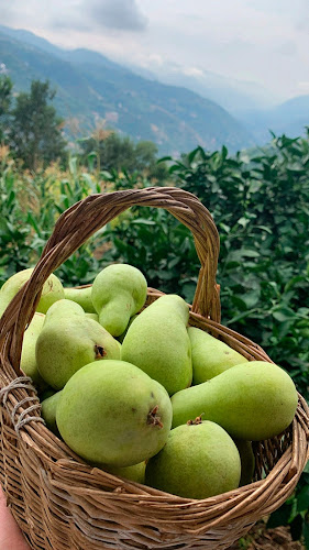 Çınarlık, 61300 Akçaabat/Trabzon