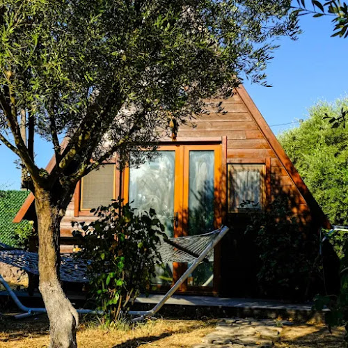 Opinii despre Metis Bungalov & Restaurant în Behram/Ayvacık - Gastronomi ve konaklama