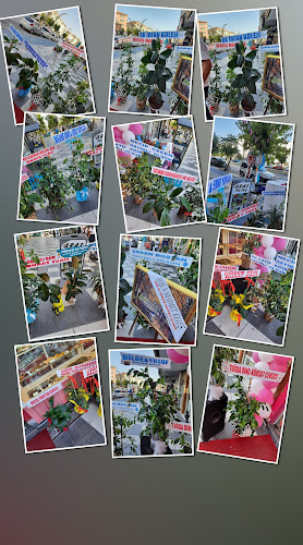 Aksaray Ekleristan (40 mt) - Gastronomi ve konaklama