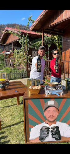 Efekızı zeytin ve zeytinyağı