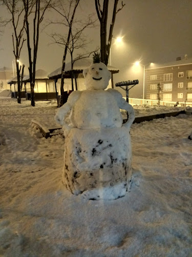 Kemer Köprü, D010 No:64, 74100 Bartın Merkez/Bartın