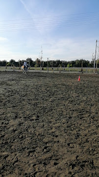 Opinii despre LOTUS AT ÇİFTLİĞİ în Dörtyol - Gastronomi ve konaklama