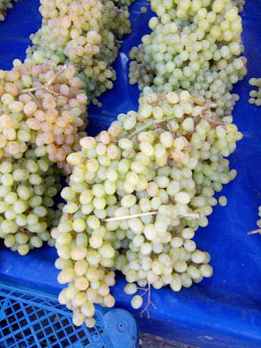 Pazar Pazarı - Trabzon