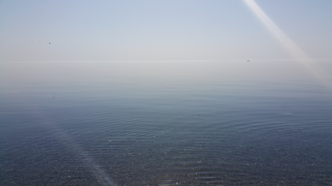 Metis Bungalov & Restaurant - Behram/Ayvacık