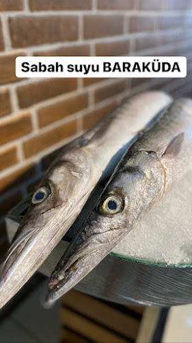 Comentarii opinii despre KALKAN BALIKÇILIK (KAŞ ŞUBESİ) SİNCE99