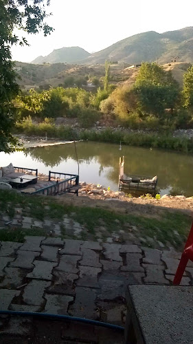 Çınar Aile Çay Bahçesi Canlı Alabalık Tesisi