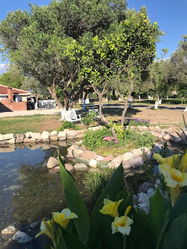 Alaçatı Zeytin Tarla - Gastronomi ve konaklama