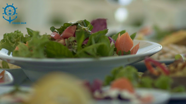 Opinii despre Dragos Balık în İstanbul - Gastronomi ve konaklama