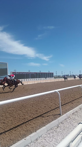 Antalya Hipodrum Şantiyesi - Gastronomi ve konaklama