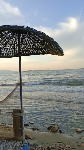 Comentarii opinii despre Zeytin Cafe & Restaurant Urla