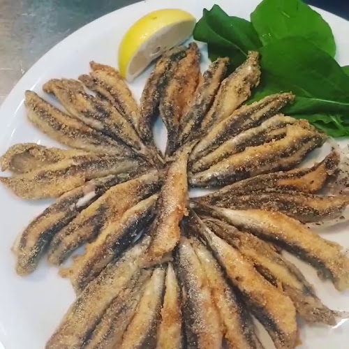 NOSTA BALIK - Serdivan