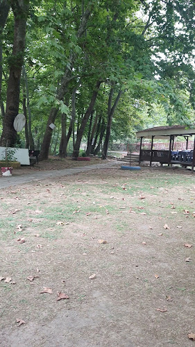 DeğirmenÇayır Restaurant - Gastronomi ve konaklama