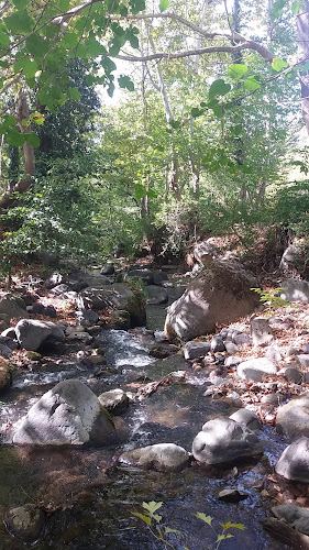 Opinii despre Niksar Kavlağanlık Alabalık Tesisi în Niksar - Gastronomi ve konaklama