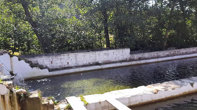 Comentarii opinii despre Pehlevan Alabalık ve Konaklama Tesisi