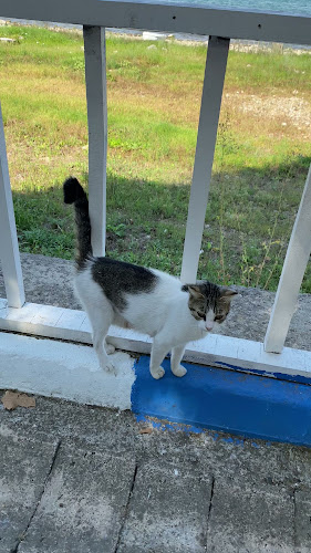 Ömerin Yeri Restoran