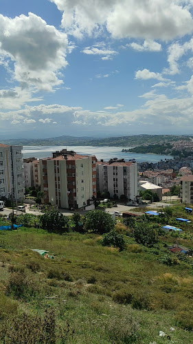 Sinop Şahin Tepesi Kafe - Gastronomi ve konaklama