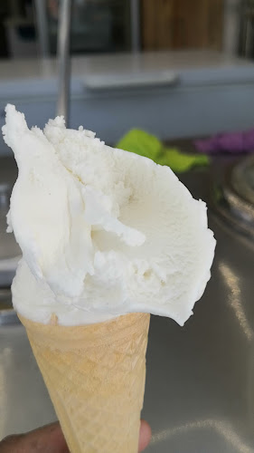 Comentarii opinii despre Sakız Dondruma