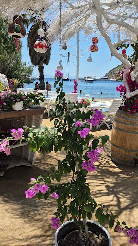 Comentarii opinii despre Karafaki Erhan Usta Gümüşlük Balık Restoranı