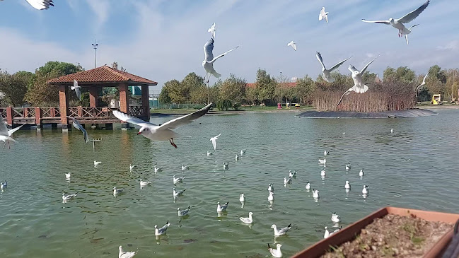 Coşkun Izgara Parkada