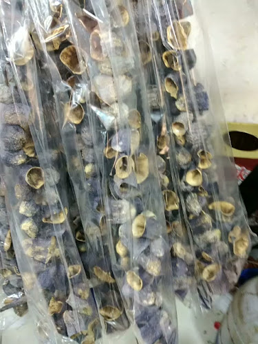 Hatay Köy Ürünler gidapazari - Antakya