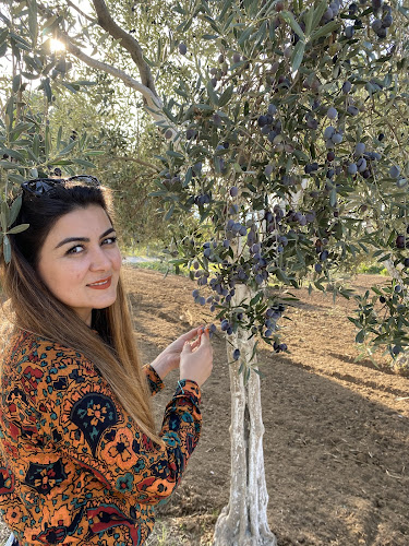 Opinii despre Efekızı zeytin ve zeytinyağı în Milas - Gastronomi ve konaklama