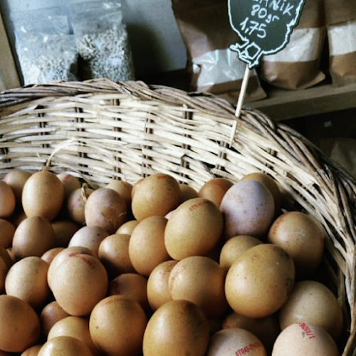 Gezenti Tavuk - Gastronomi ve konaklama