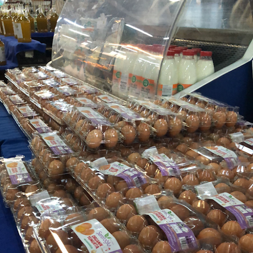 Feriköy Bomonti Şişli Organik Pazarı - Gastronomi ve konaklama