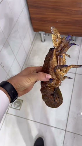 Opinii despre Murat Balıkçılık Side în Side Bld/Manavgat - Gastronomi ve konaklama