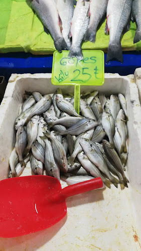 Van Gölü Balıkçılık